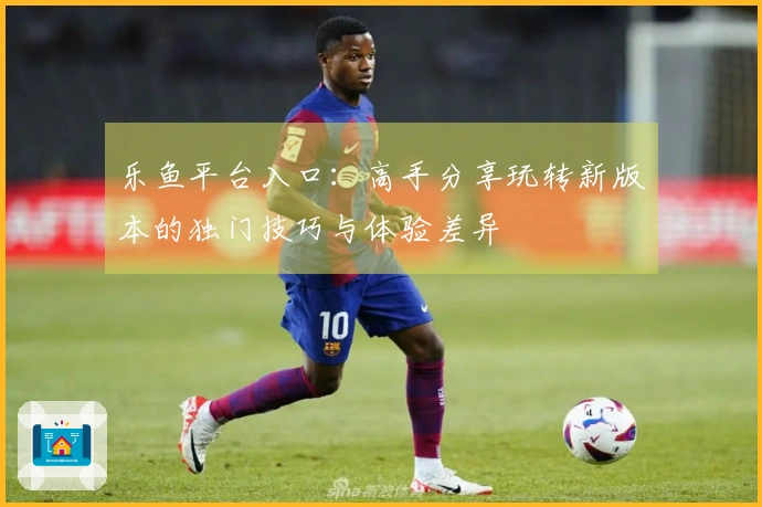 乐鱼平台入口：高手分享玩转新版本的独门技巧与体验差异