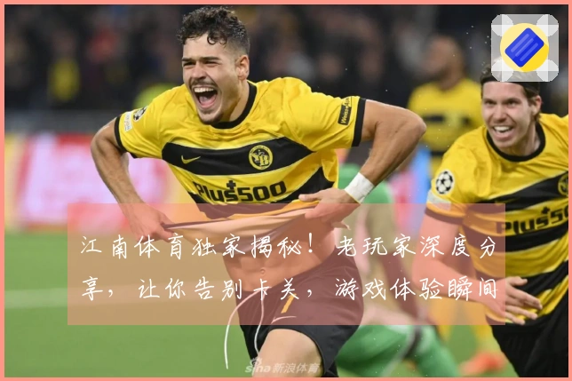 江南体育独家揭秘！老玩家深度分享，让你告别卡关，游戏体验瞬间升级！