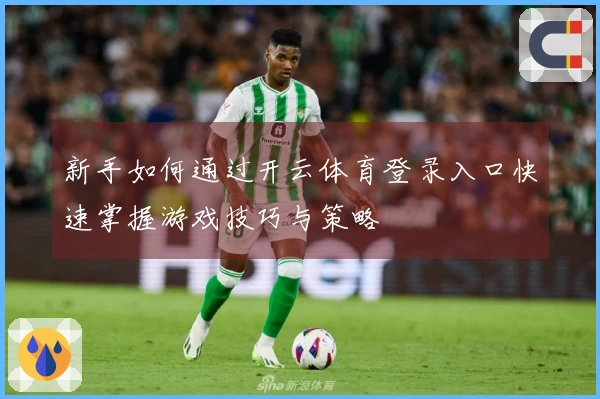 新手如何通过开云体育登录入口快速掌握游戏技巧与策略