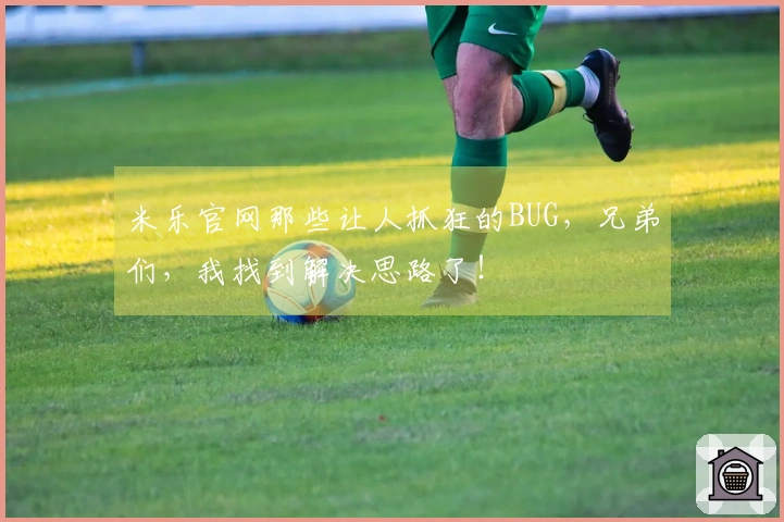 米乐官网那些让人抓狂的BUG，兄弟们，我找到解决思路了！