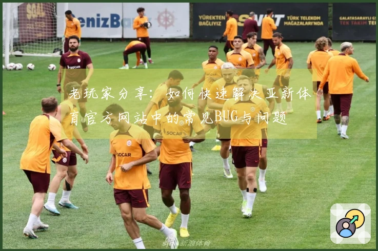 老玩家分享：如何快速解决亚新体育官方网站中的常见BUG与问题